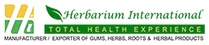 Herbarium International logo