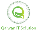 Qaiwan IT Solution logo
